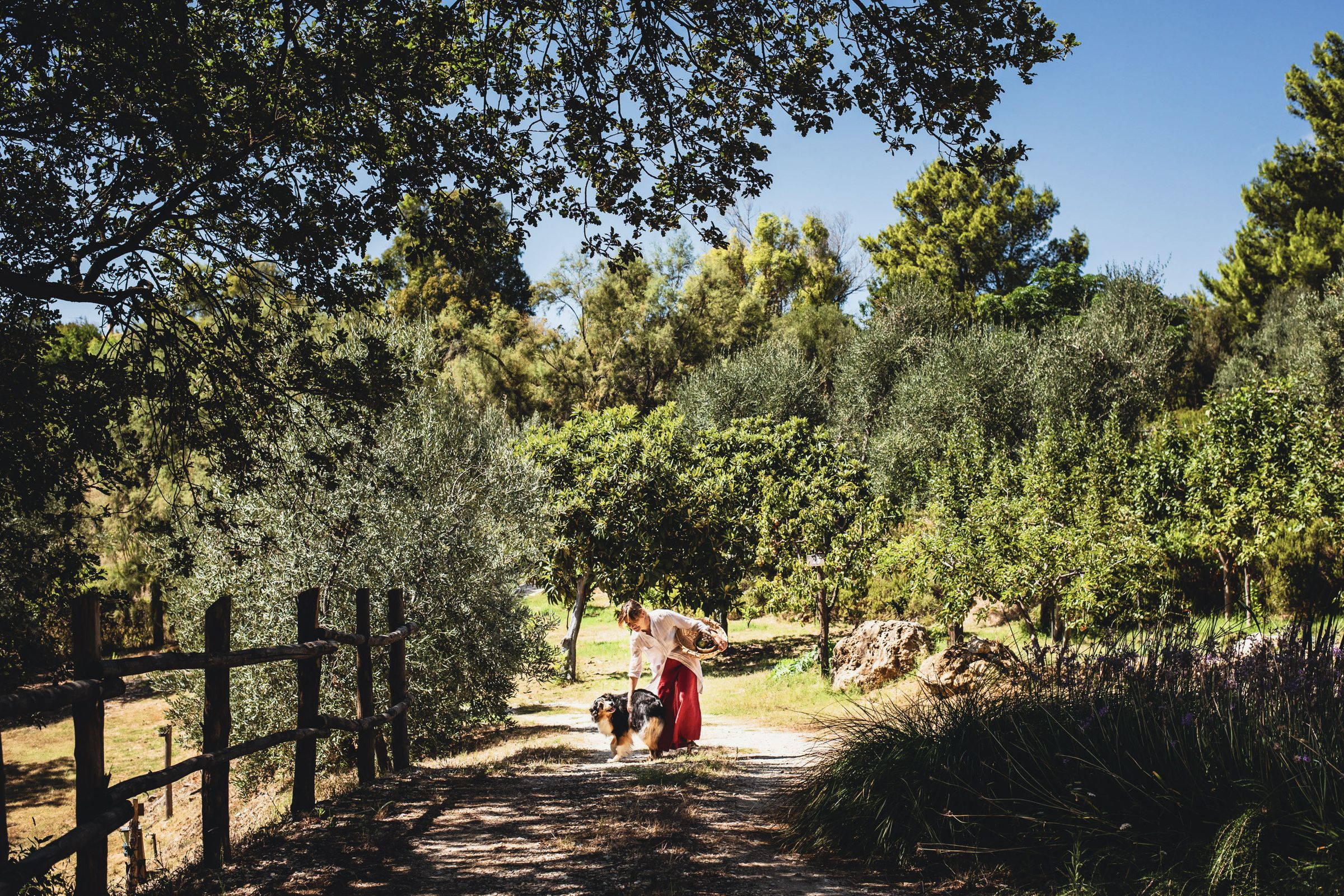 Campagna toscana a Poggio ai Santi
