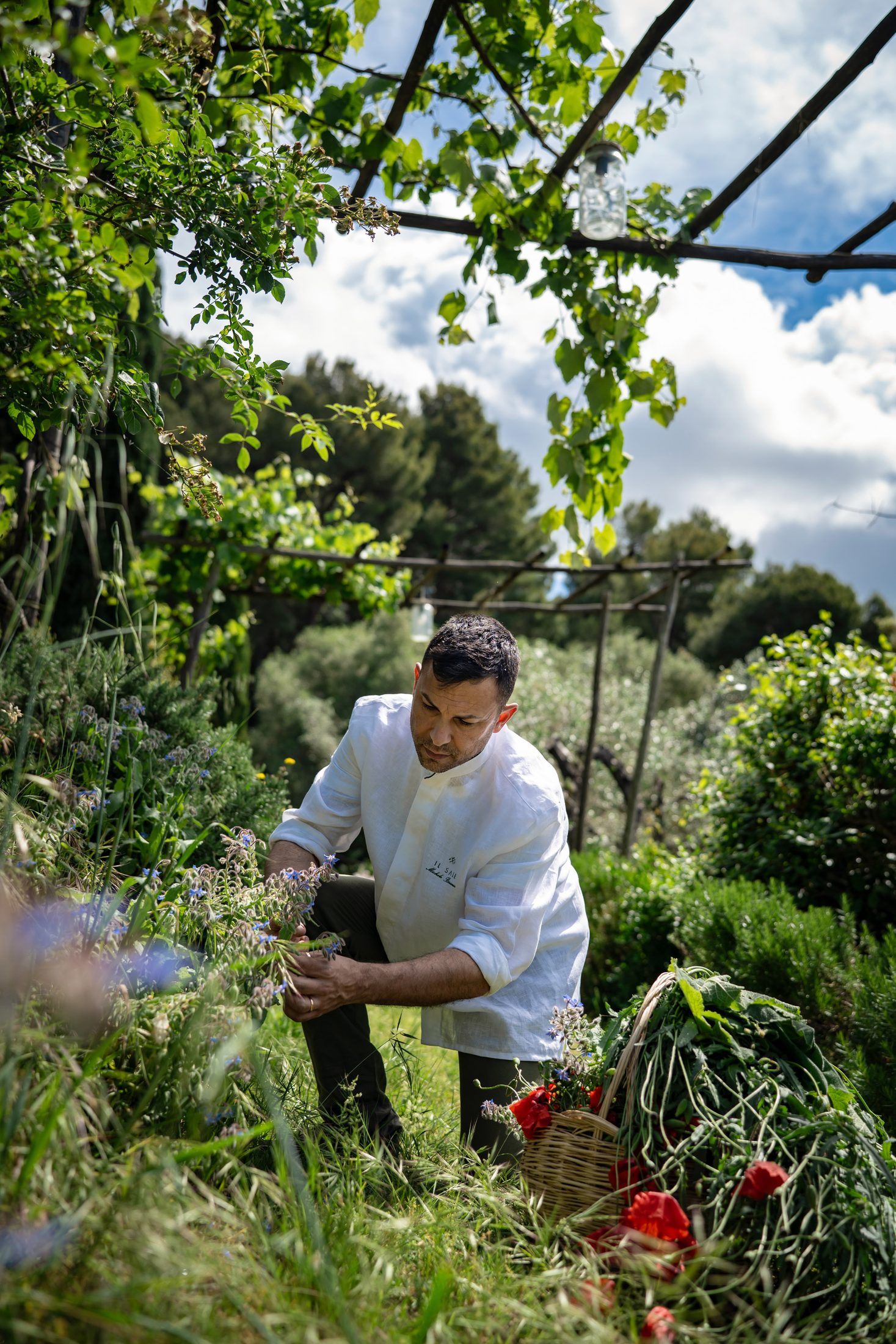 Lo chef raccoglie erbe e fiori nell’orto di Poggio ai Santi