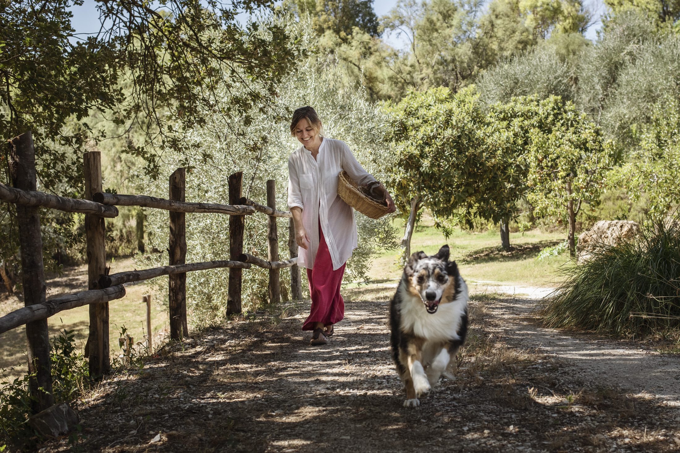 Walking the dog along the trails of Poggio ai Santi