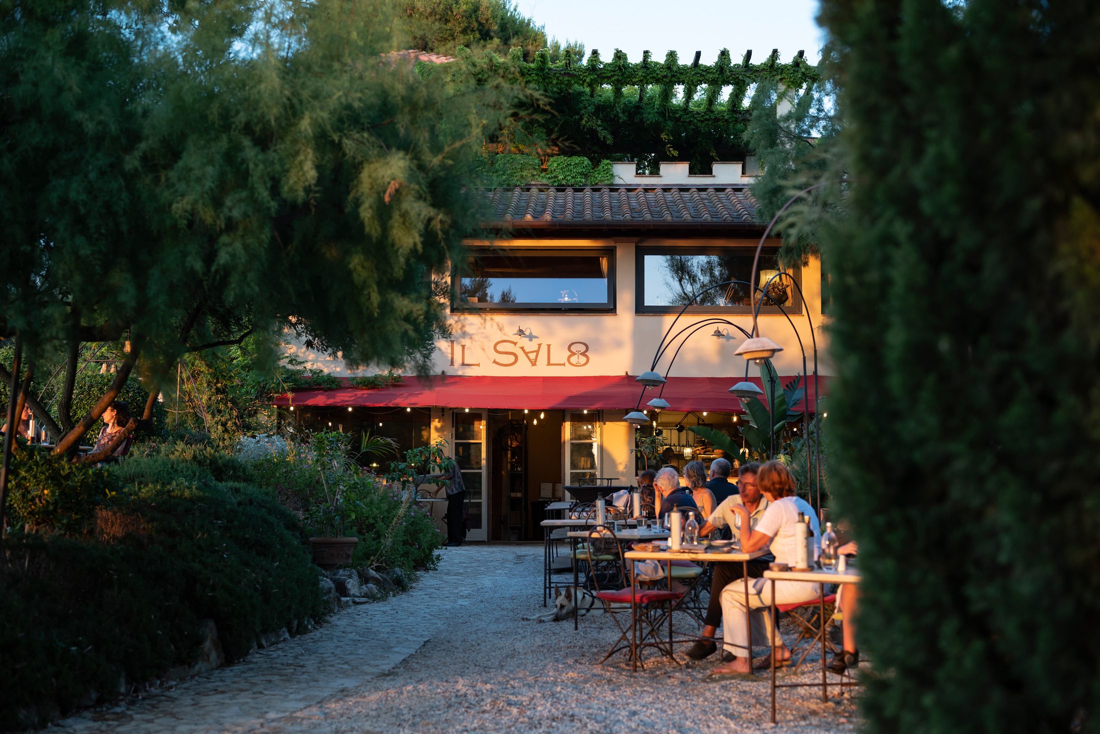 Un bar dove ogni cocktail nasce dalla terra, dalle stagioni e dall’orto. – bar c2d