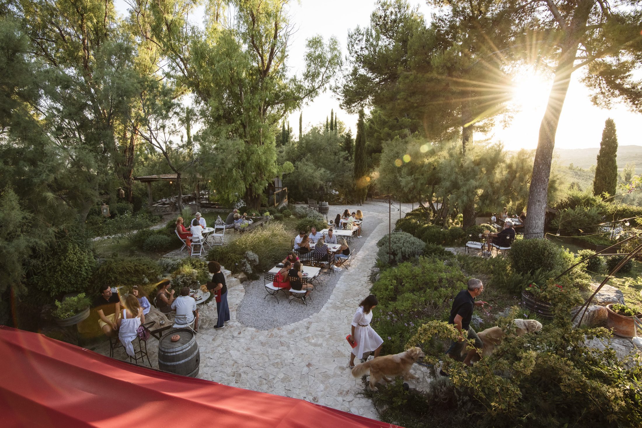 Aperitivo nel parco del SAL8 a Poggio ai Santi al tramonto