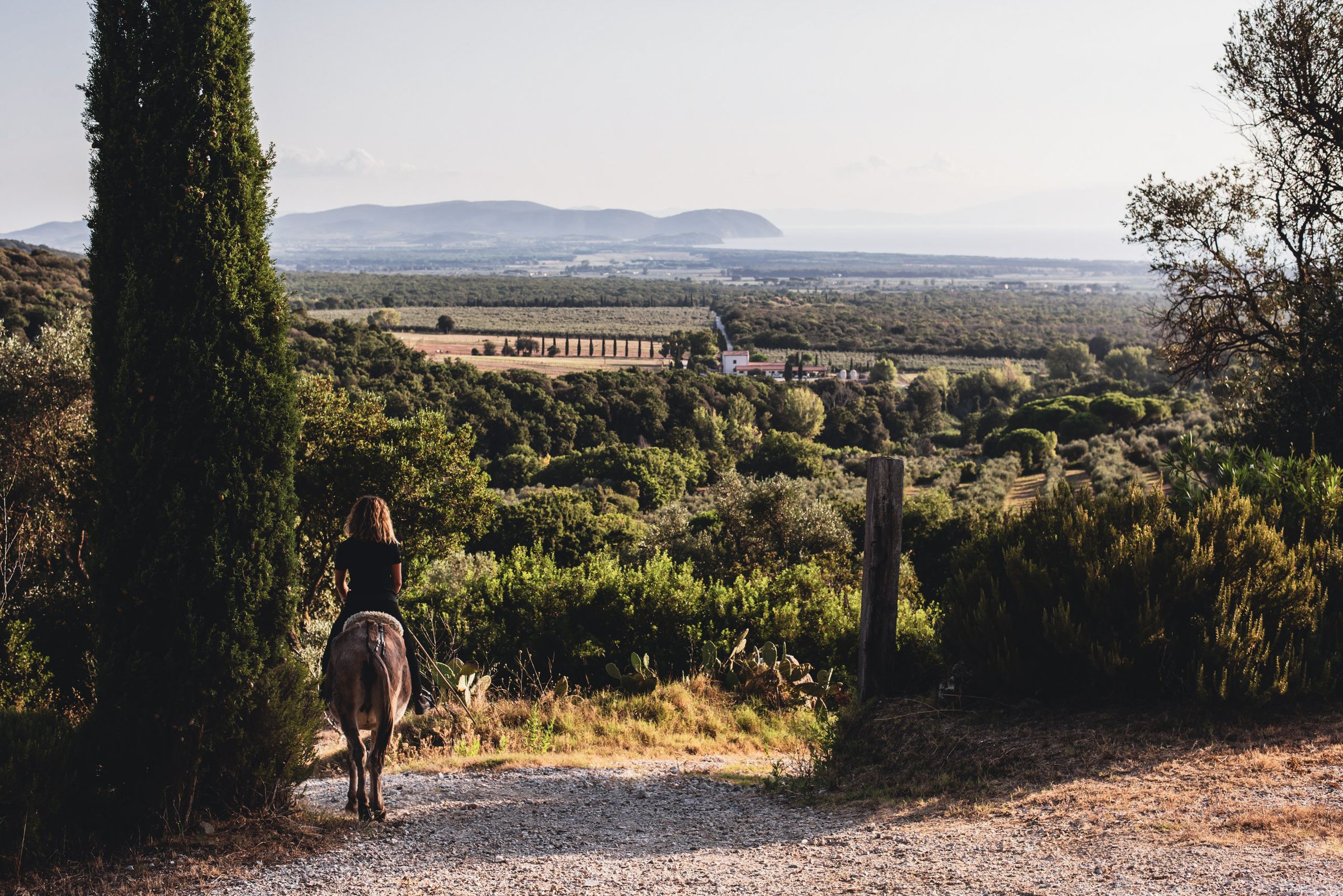 Tuscan countryside at Poggio ai Santi