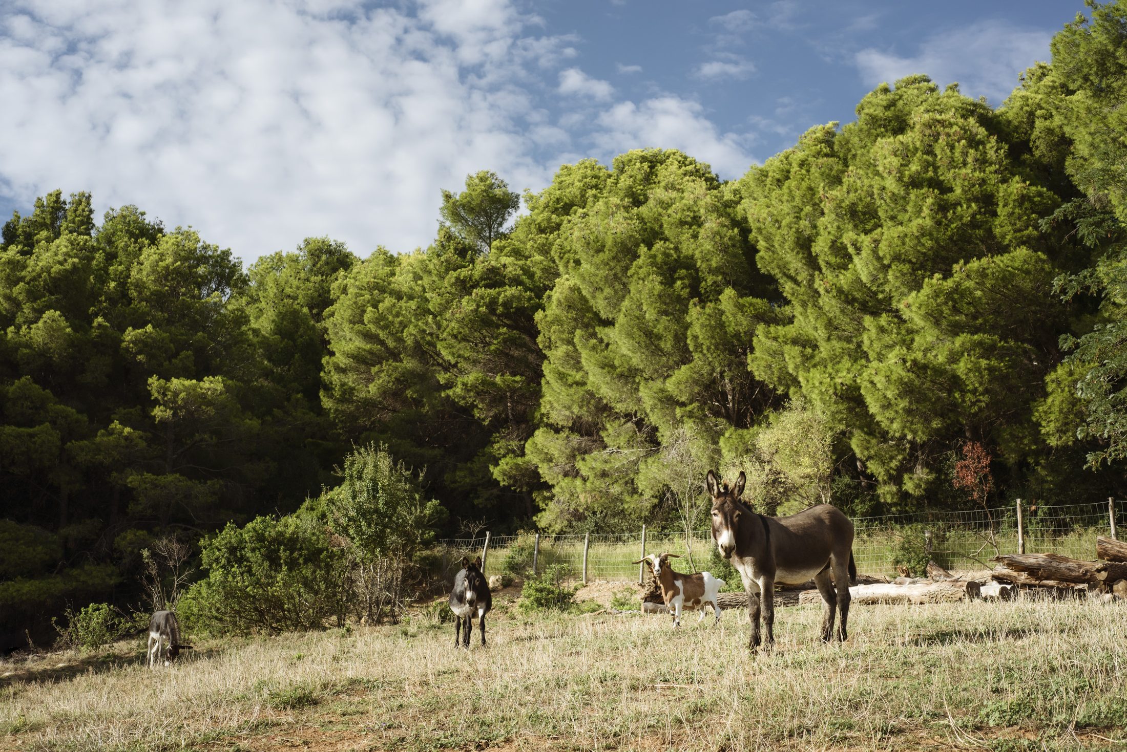 La terra non è uno sfondo: è il progetto. – vs close