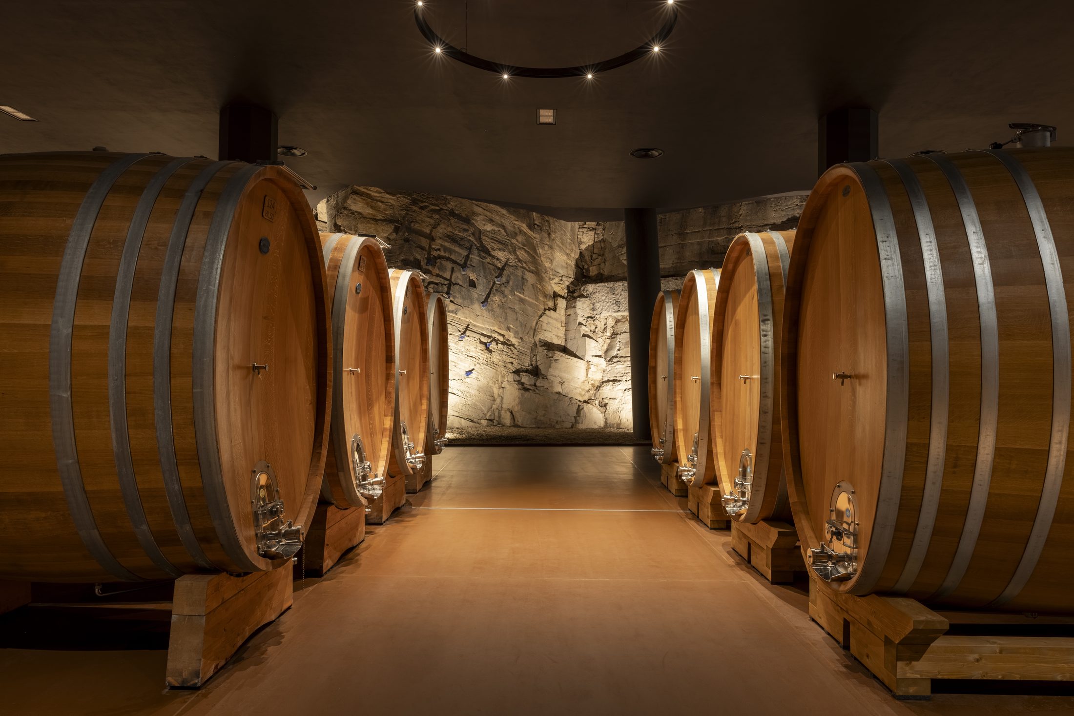 Between Bolgheri and the Val di Cornia, wine is part of the landscape. – c2a