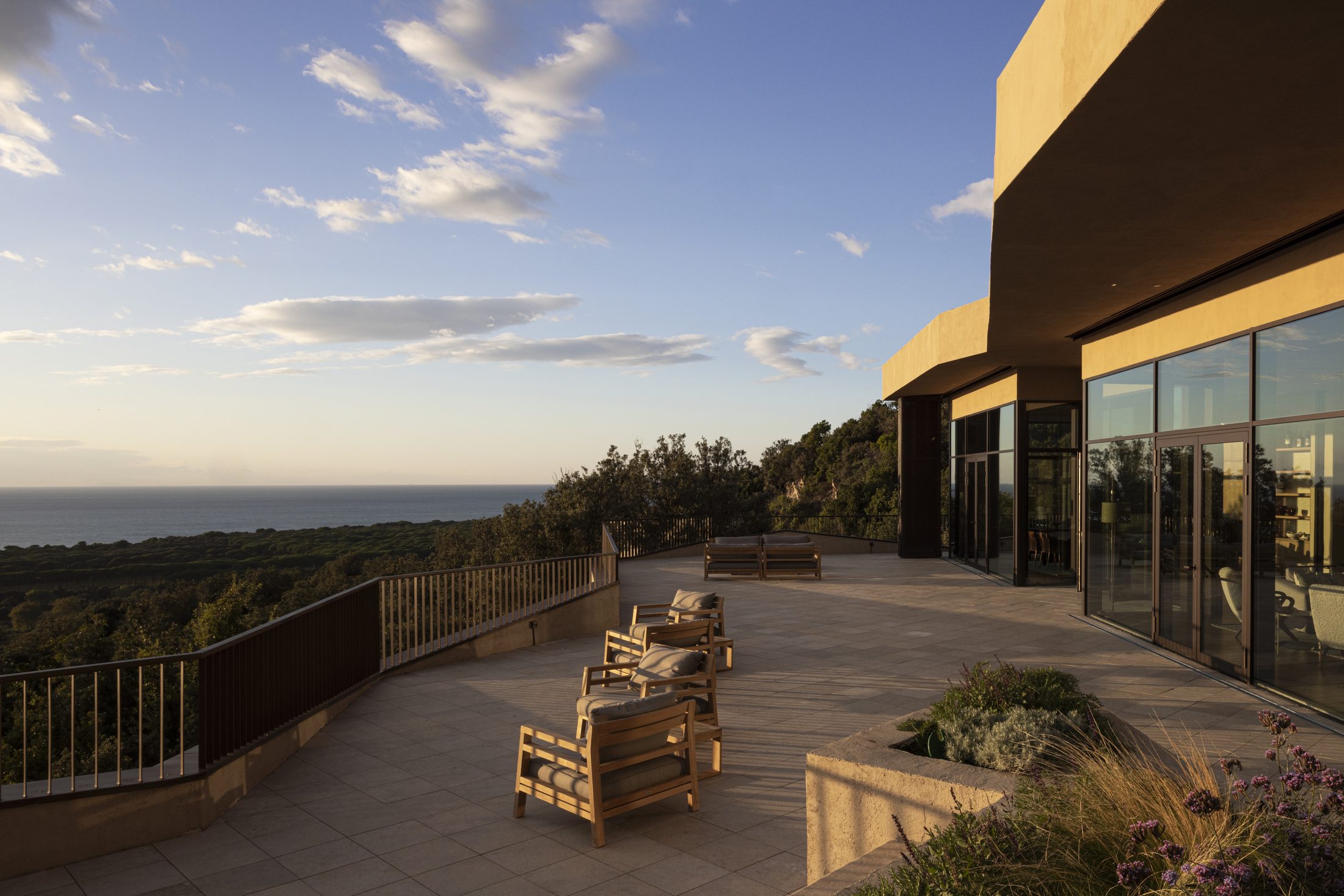 Between Bolgheri and the Val di Cornia, wine is part of the landscape. – land