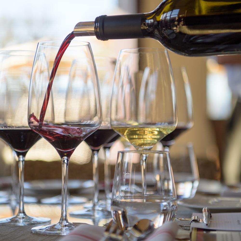 Wine tasting featuring wines from the Dievole winery