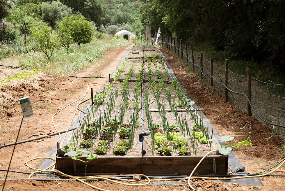 vasca orti bioattivi coltivazione naturale con straficazione del terreno